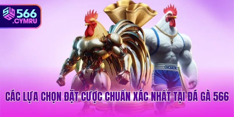 Các lựa chọn đặt cược chuẩn xác nhất tại đá gà 566