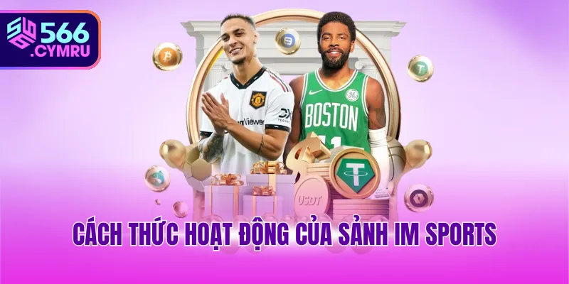 Cách thức hoạt động của sảnh IM Sports