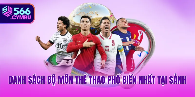 Danh sách bộ môn thể thao phổ biến nhất tại sảnh