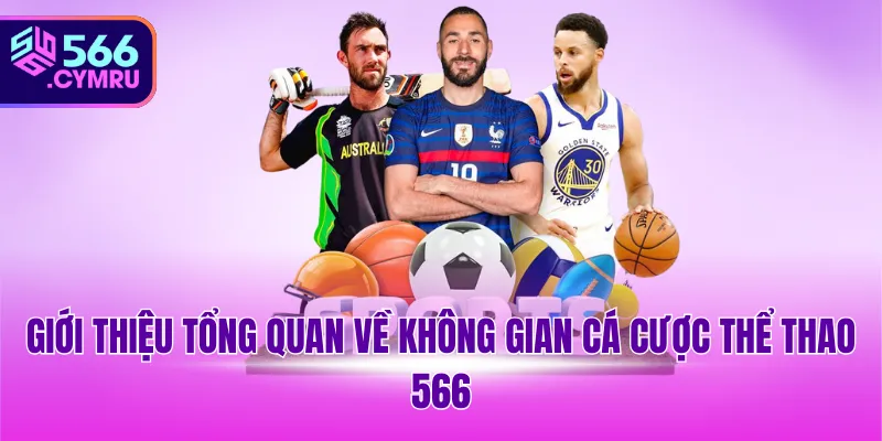 Giới thiệu tổng quan về không gian cá cược thể thao 566