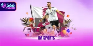 IM Sports