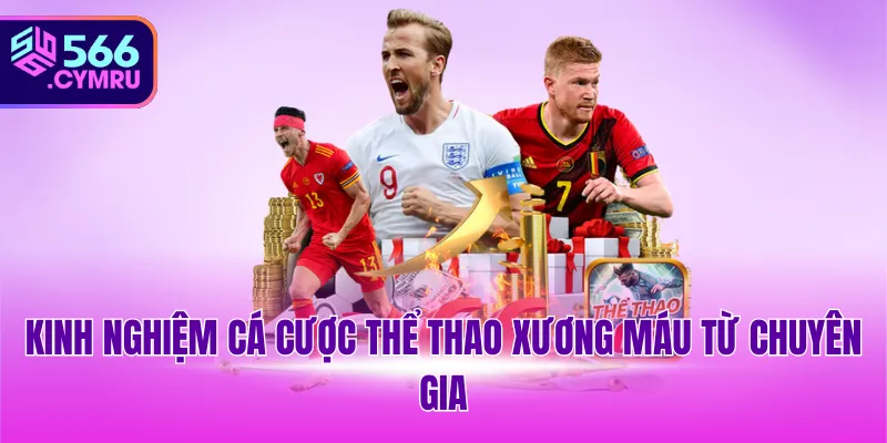 Kinh nghiệm cá cược thể thao xương máu từ chuyên gia