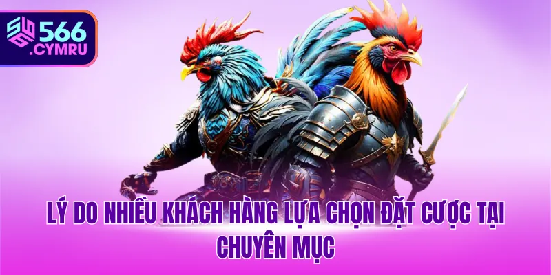 Lý do nhiều khách hàng lựa chọn đặt cược tại chuyên mục