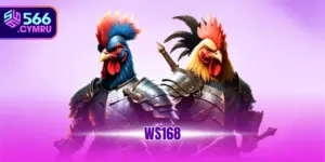 WS168
